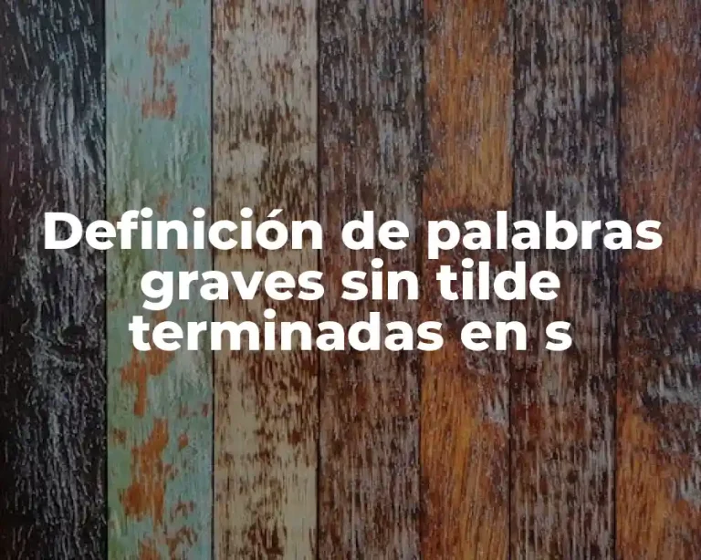Definición de palabras graves sin tilde terminadas en s