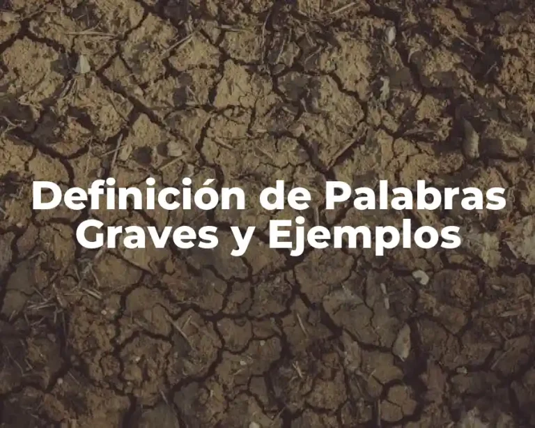 Definición de Palabras Graves y Ejemplos