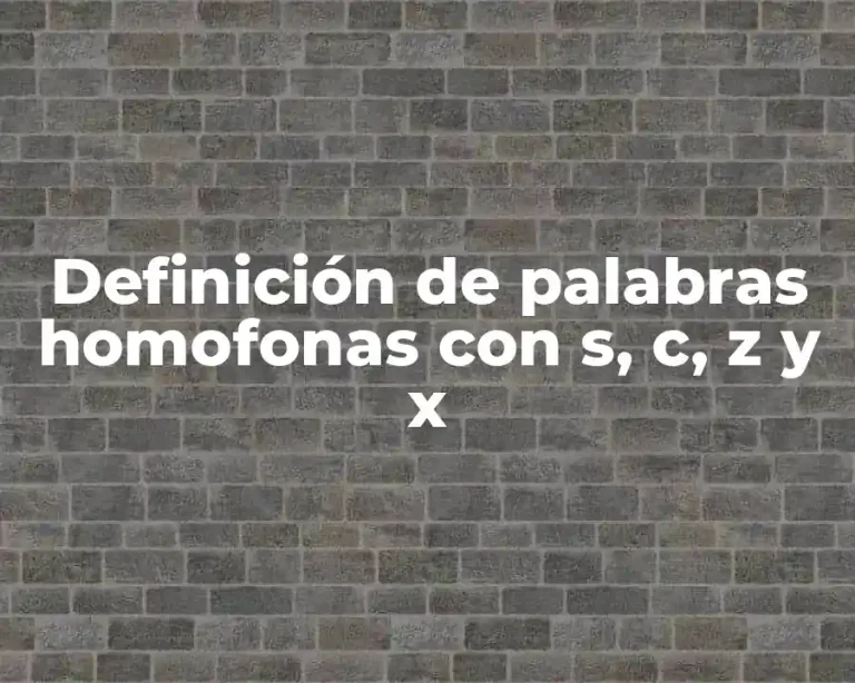 Definición de palabras homofonas con s, c, z y x