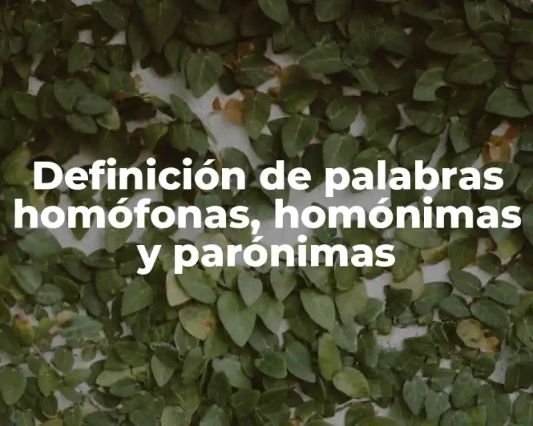 Definición de palabras homófonas, homónimas y parónimas
