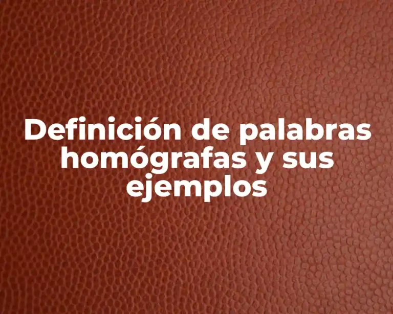 Definición de palabras homógrafas y sus ejemplos