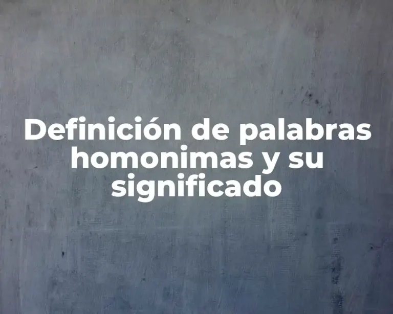 Definición de palabras homonimas y su significado