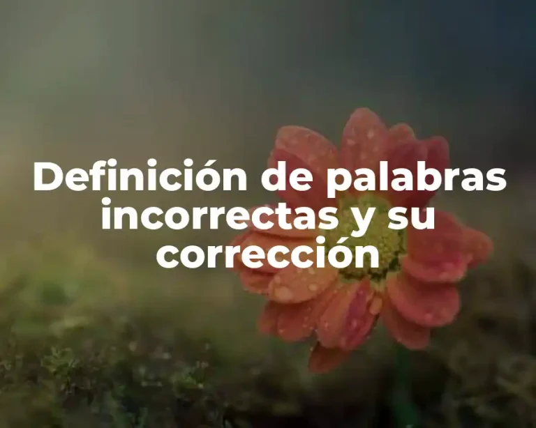 Definición de palabras incorrectas y su corrección
