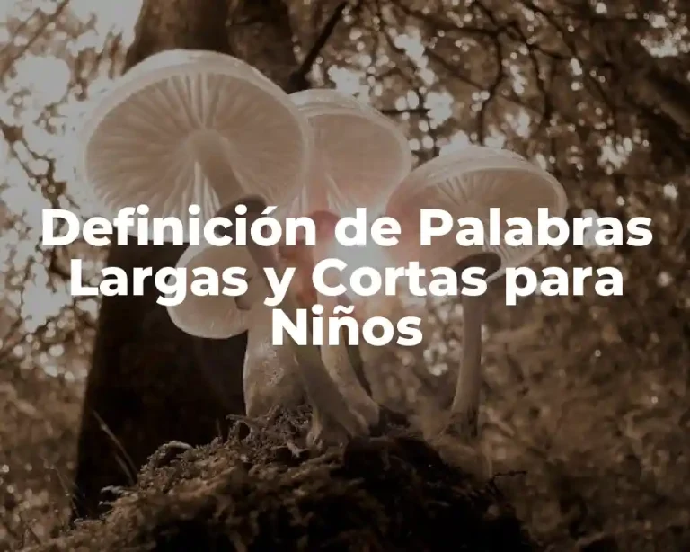 Definición de Palabras Largas y Cortas para Niños
