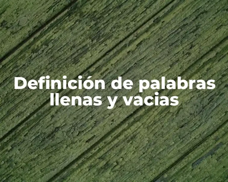 Definición de palabras llenas y vacias