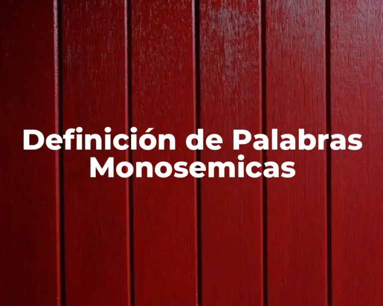 Definición de Palabras Monosemicas