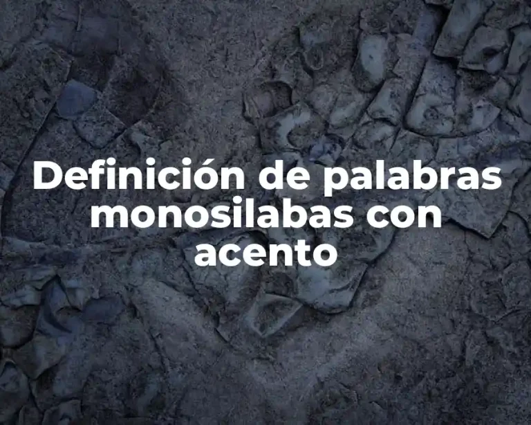 Definición de palabras monosilabas con acento