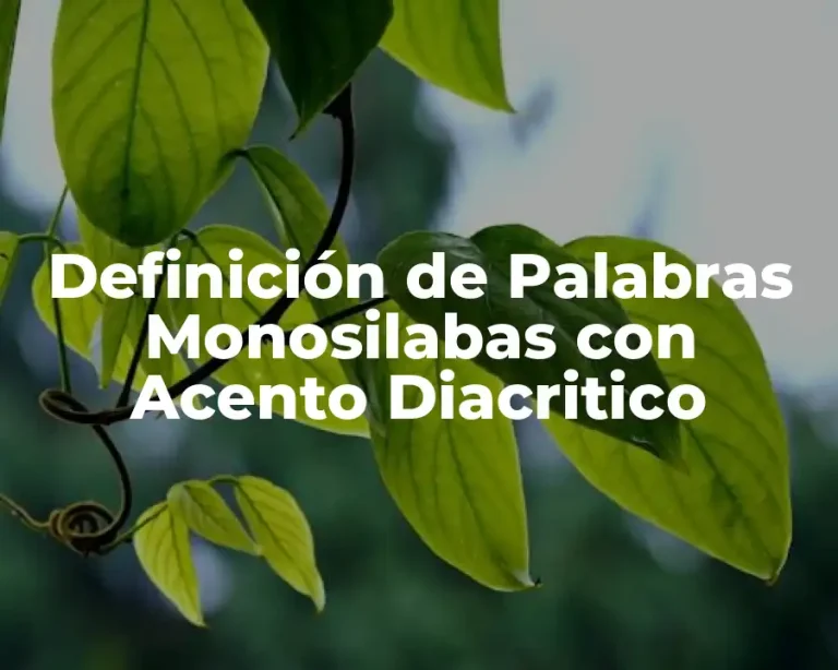 Definición de Palabras Monosilabas con Acento Diacritico