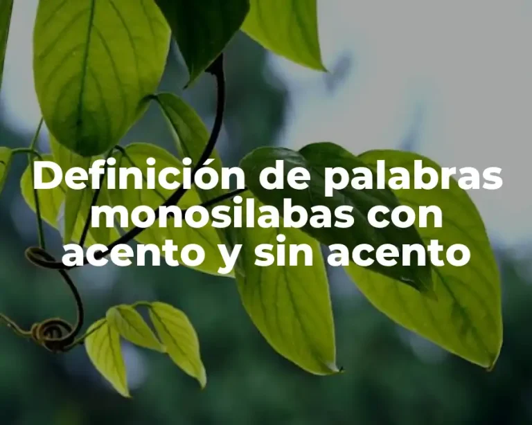Definición de palabras monosilabas con acento y sin acento