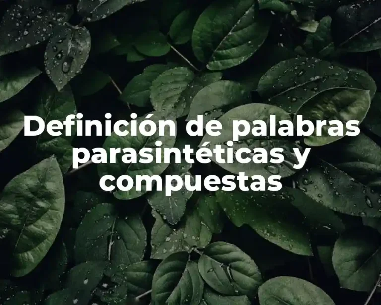 Definición de palabras parasintéticas y compuestas