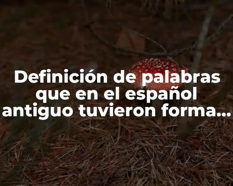 Definición de palabras que en el español antiguo tuvieron forma plural