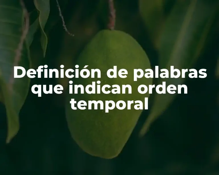 Definición de palabras que indican orden temporal
