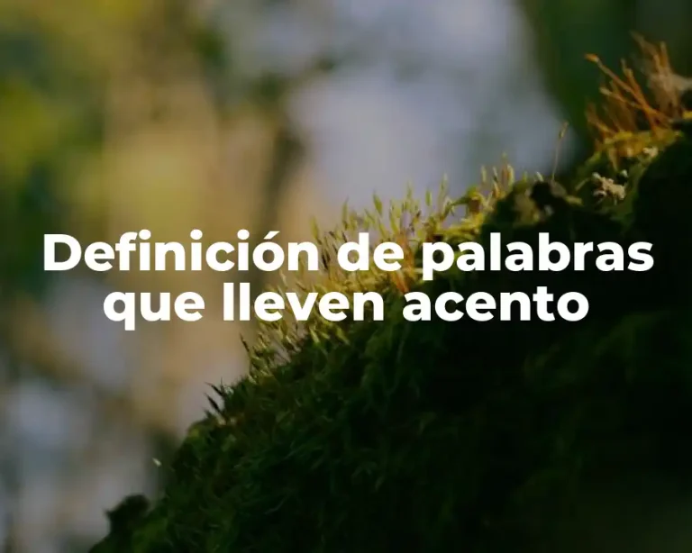 Definición de palabras que lleven acento