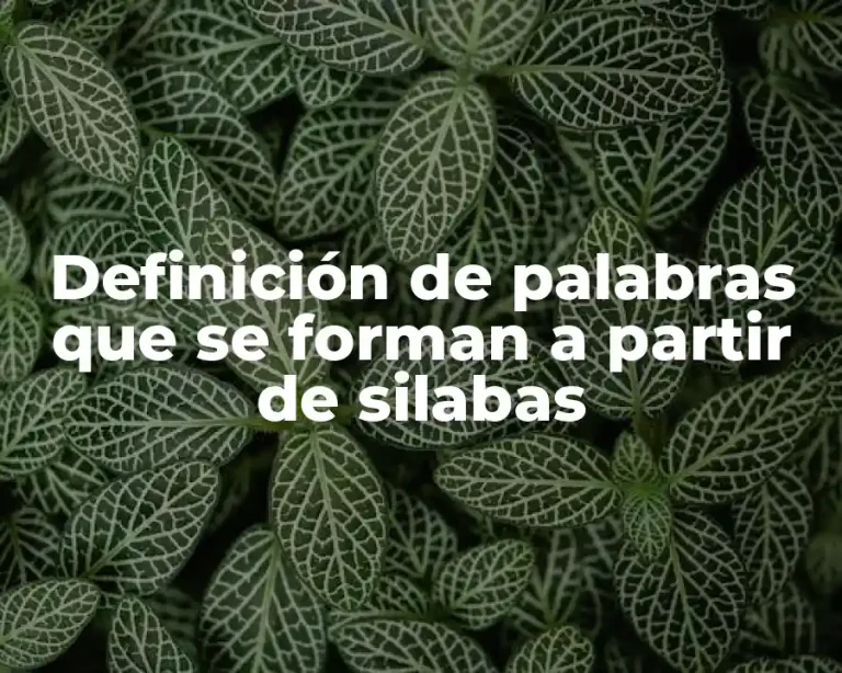 Definición de palabras que se forman a partir de silabas