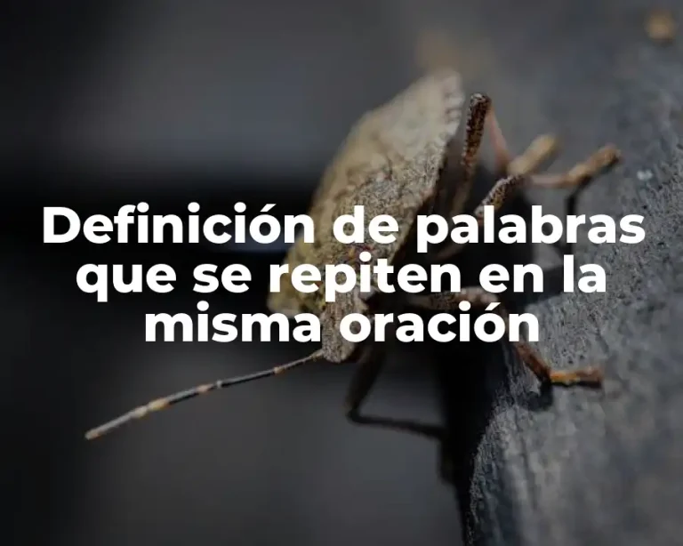 Definición de palabras que se repiten en la misma oración