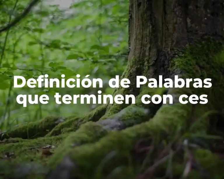 Definición de Palabras que terminen con ces