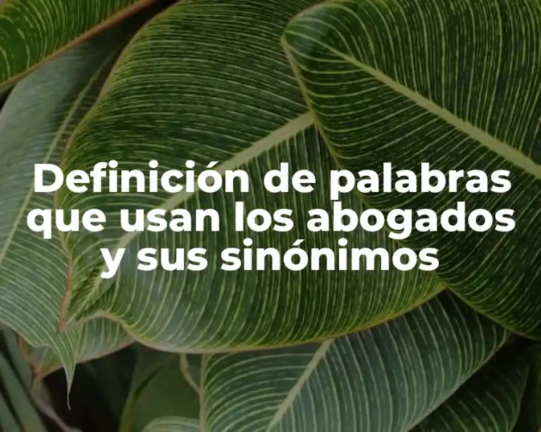 Definición de palabras que usan los abogados y sus sinónimos