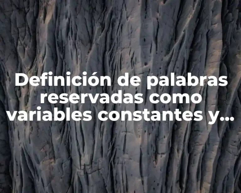 Definición de palabras reservadas como variables constantes y sintaxis