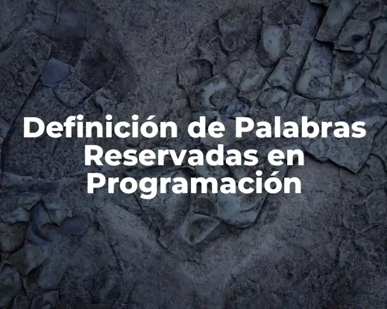 Definición de Palabras Reservadas en Programación