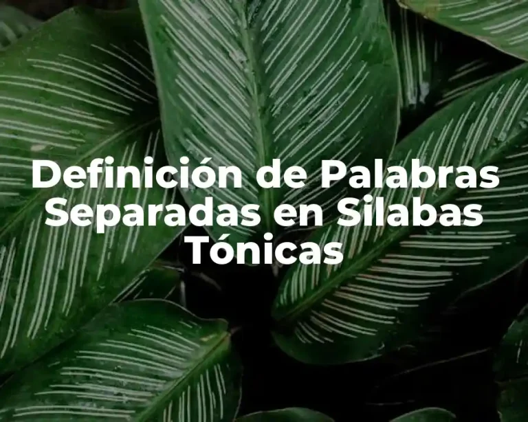 Definición de Palabras Separadas en Silabas Tónicas