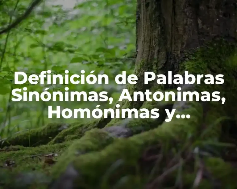 Definición de Palabras Sinónimas, Antonimas, Homónimas y Parónimas