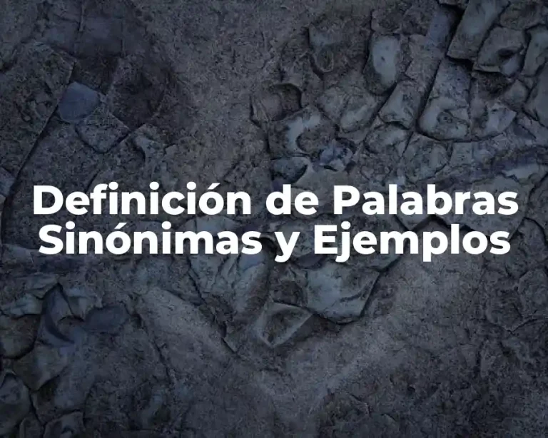 Definición de Palabras Sinónimas y Ejemplos
