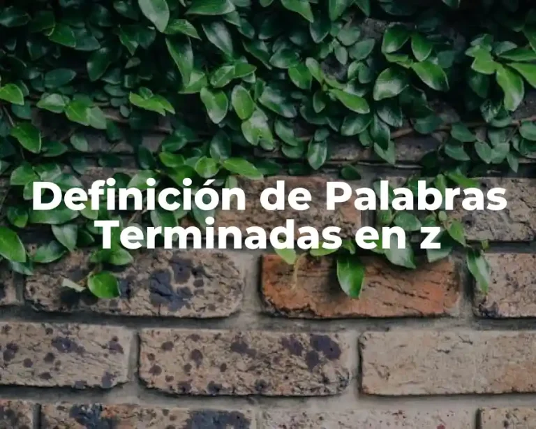 Definición de Palabras Terminadas en z