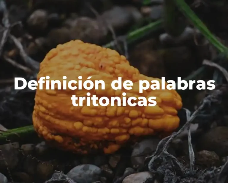 Definición de palabras tritonicas