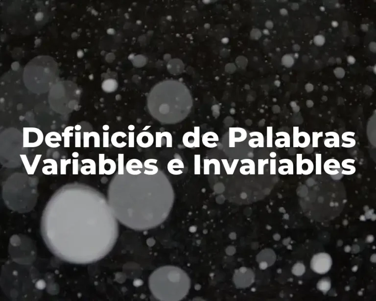 Definición de Palabras Variables e Invariables