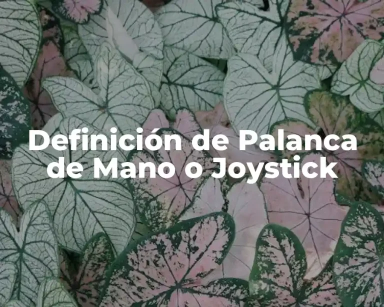 Definición de Palanca de Mano o Joystick