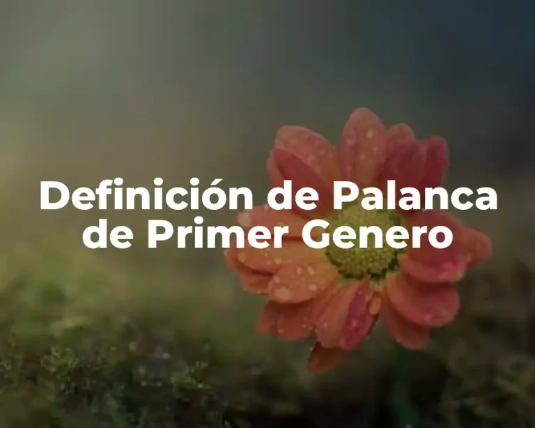 Definición de Palanca de Primer Genero