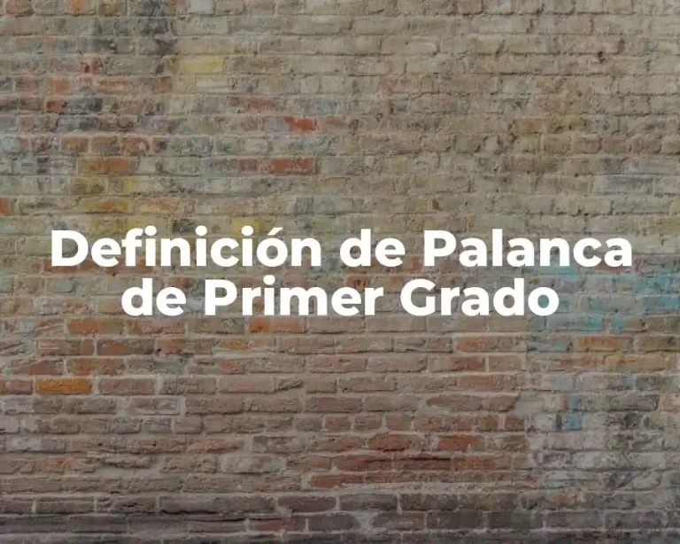 Definición de Palanca de Primer Grado