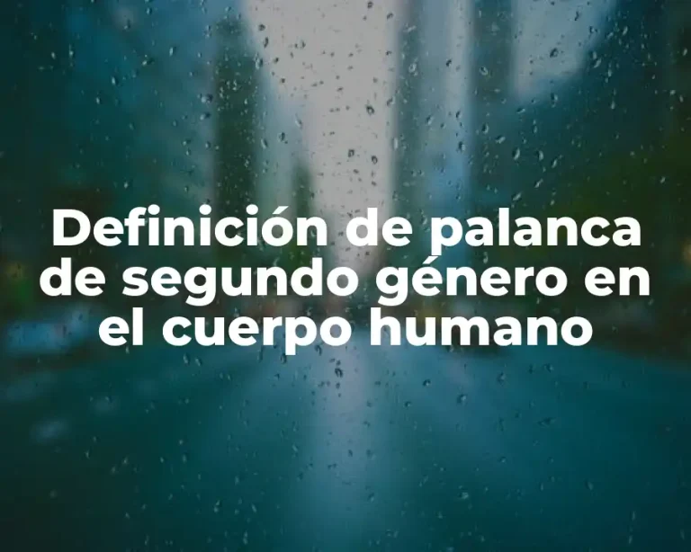 Definición de palanca de segundo género en el cuerpo humano