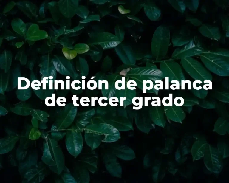 Definición de palanca de tercer grado