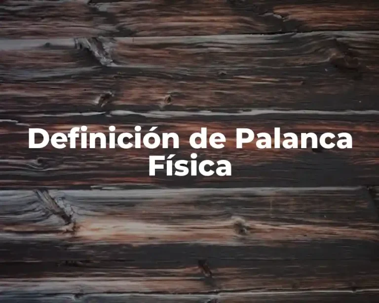 Definición de Palanca Física
