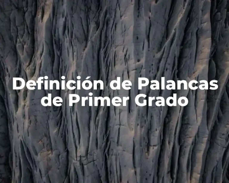 Definición de Palancas de Primer Grado