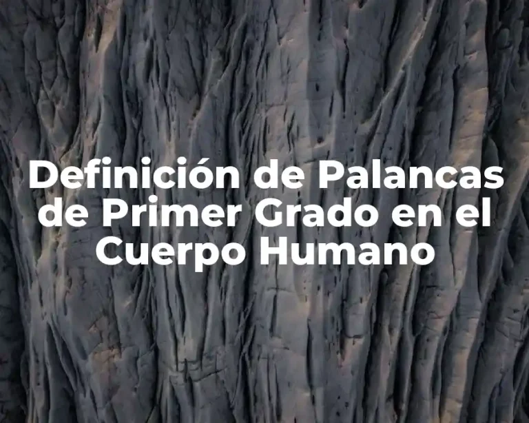 Definición de Palancas de Primer Grado en el Cuerpo Humano