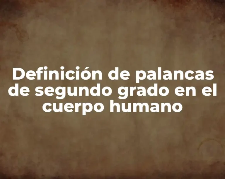 Definición de palancas de segundo grado en el cuerpo humano