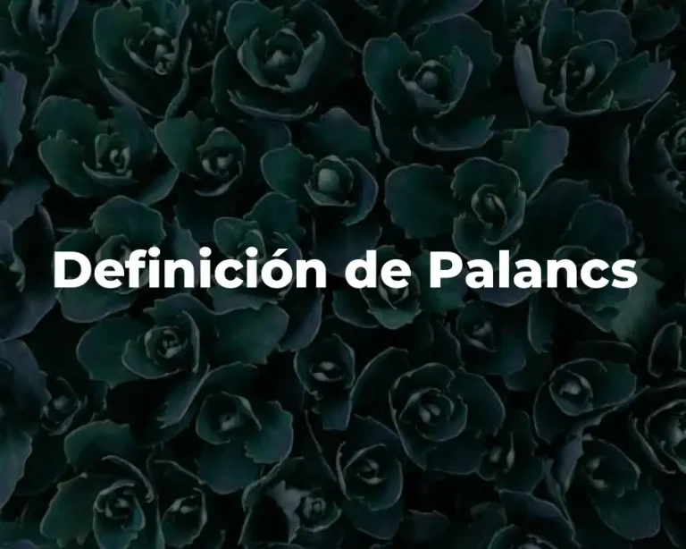 Definición de Palancs