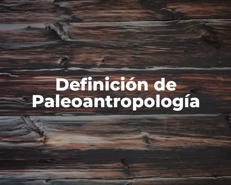 Definición de Paleoantropología