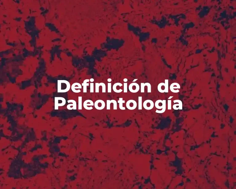 Definición de Paleontología