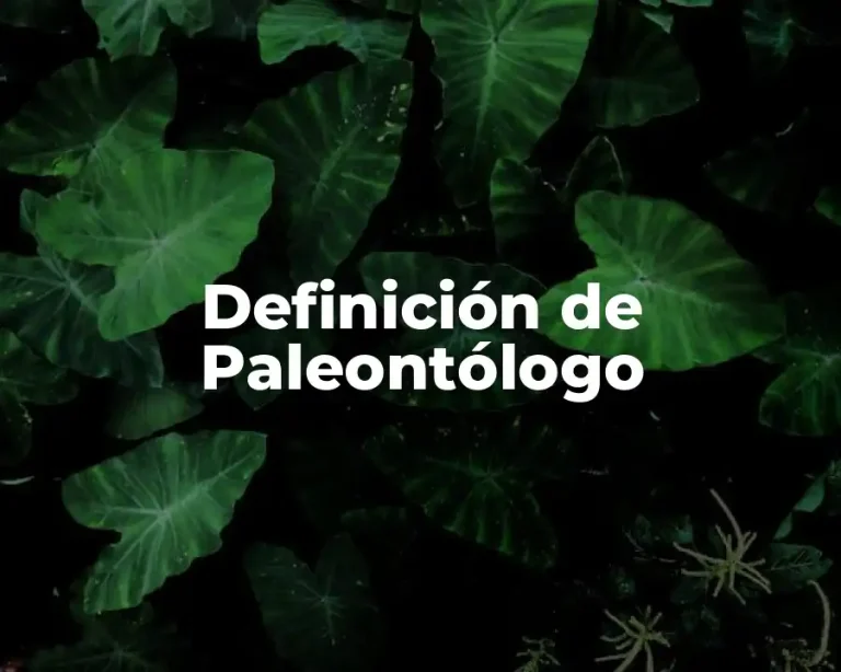 Definición de Paleontólogo