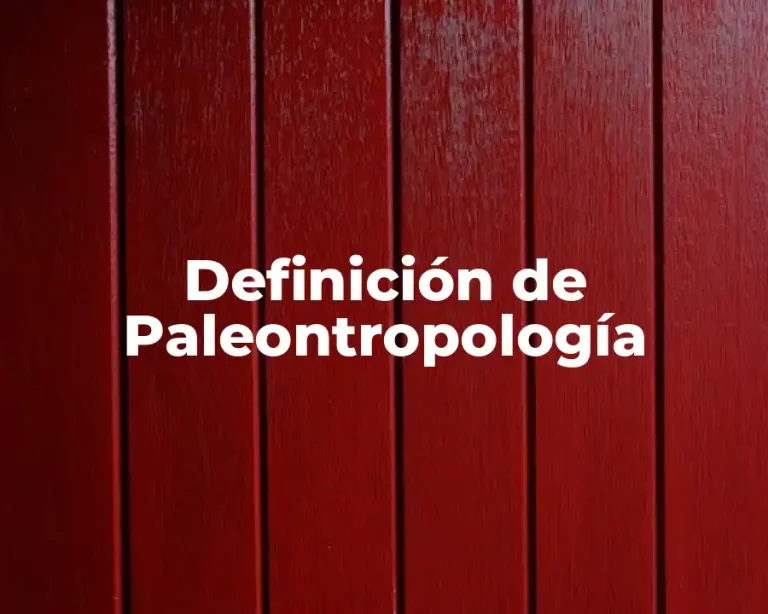 Definición de Paleontropología