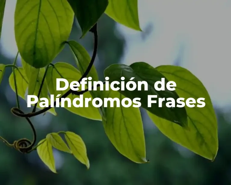 Definición de Palíndromos Frases