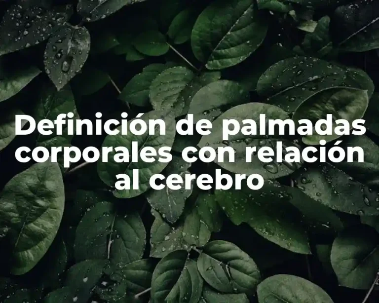 Definición de palmadas corporales con relación al cerebro