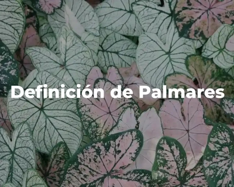 Definición de Palmares