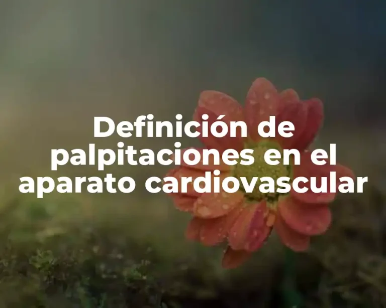 Definición de palpitaciones en el aparato cardiovascular