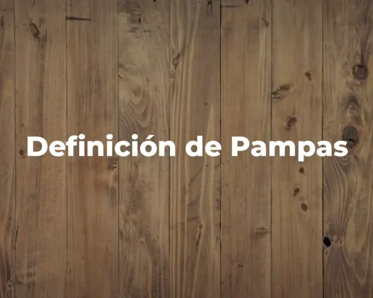 Definición de Pampas