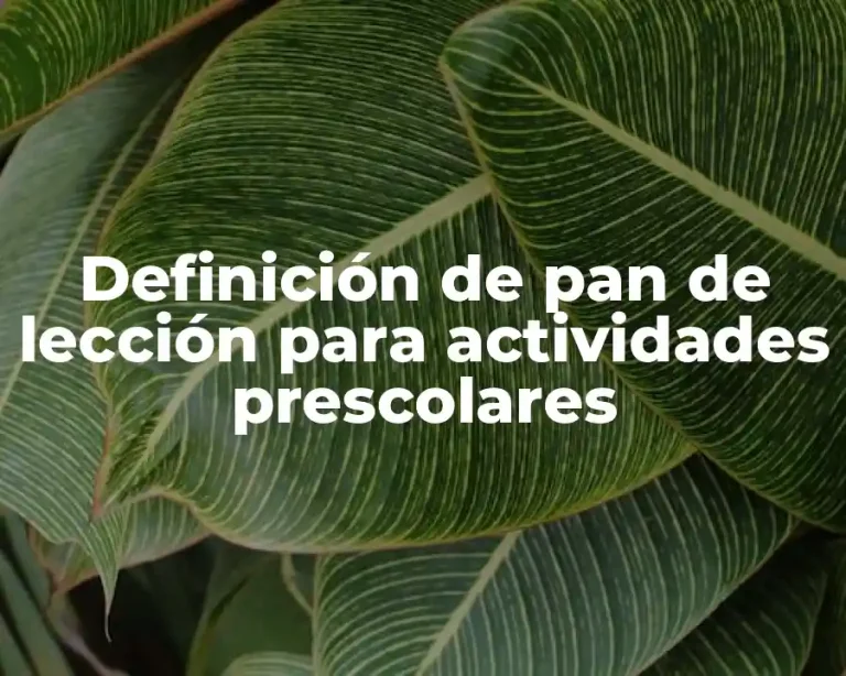 Definición de pan de lección para actividades prescolares