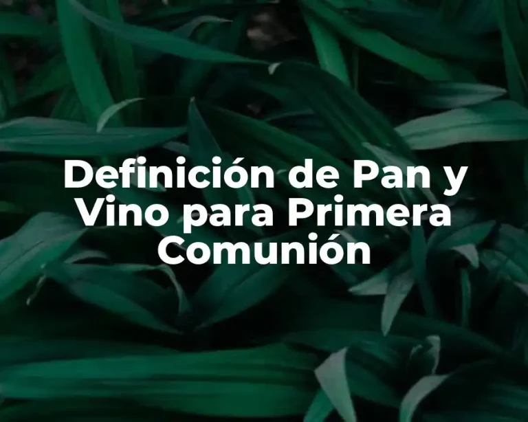 Definición de Pan y Vino para Primera Comunión